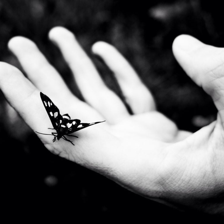 Hand with butterfly perched on it