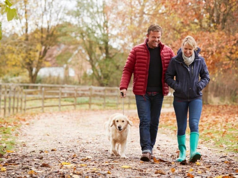 Middle-aged man and woman walking their dog among autumn leaves, laughing and discussing legal advice from Scullion LAW for a cohabitation agreement before moving in together.